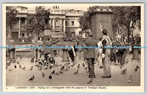 R755143 Londoner Leben posiert für ein Foto mit den Tauben am Trafalgar Square