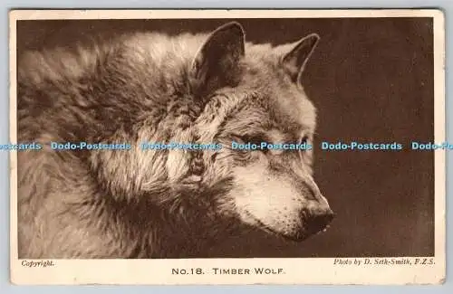 R755328 Timber Wolf Zoological Society of London No 18 D Seth Smith 1923