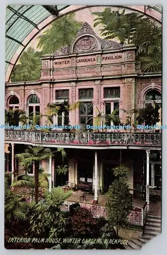 R756015 Blackpool Winter Gardens Interior Palm House 1909