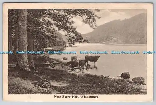 R760871 Windermere Near Ferry Nab PM Workington 1921