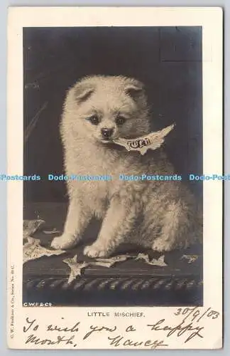 R760996 Little Mischief Dog C W Faulkner Serie Nr 60 C