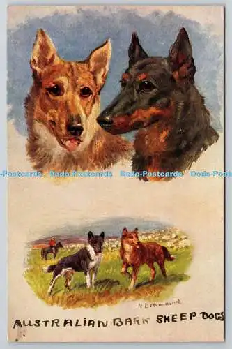 R761005 Australian Bark Sheep Dogs Sporting Dogs Tuck Oilette No 3366 N Drummond