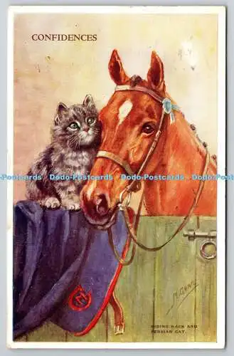 R761122 Confidences Riding Hack and Perser Cat Valentine Mabel Gear Horse Studi