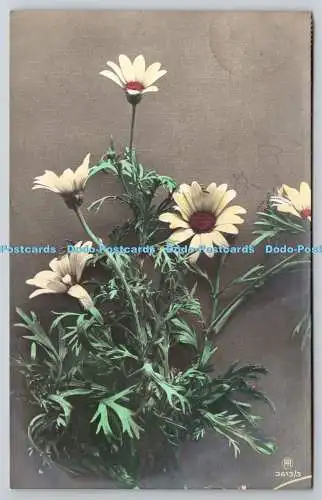 R756377 Daisies Carlton Publishing Co 1913