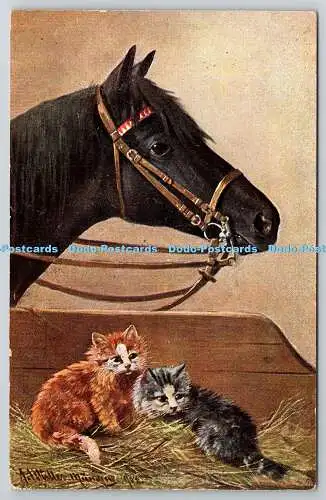 R761126 Katzen und schwarzes Pferd S Hildesheimer Nr 5262 1905