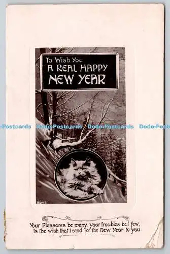 R756564 To Wish You a Real Happy New Year Cat Forest Davidson Bros Real Photogra