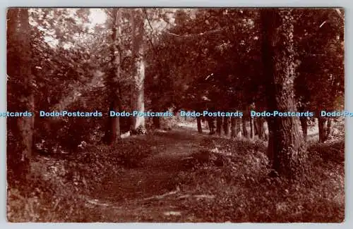 R756655 Postkarte Im Wald