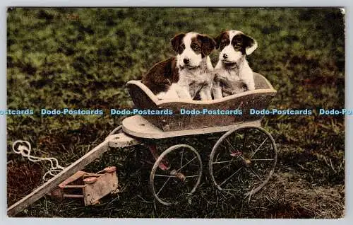 R762553 Two Puppies Valentine Series PM St Leonards on Sea 1906