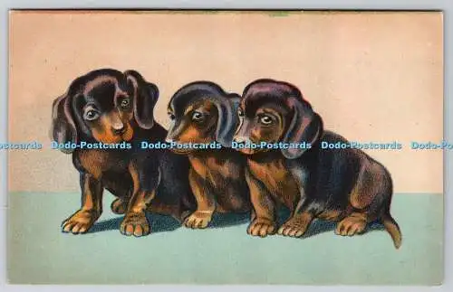 R762558 Three Black Dogs P J Bruxelles