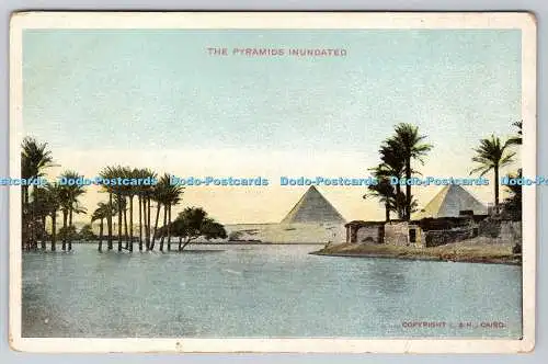 R762579 The Pyramids Inundated L and H Cairo