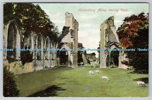 R756815 Glastonbury Abbey Looking West E S