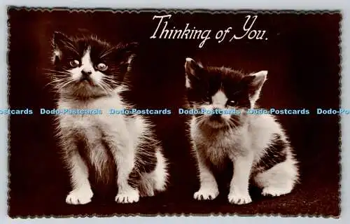 R762723 Thinking Of You Katzen RP