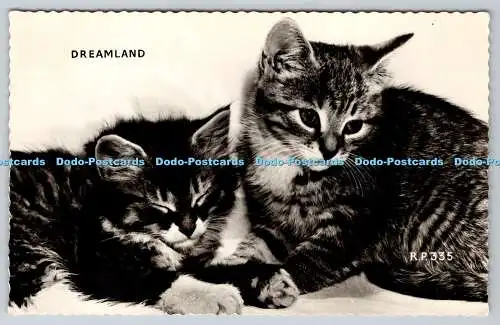 R762727 Dreamland Cats Valentine RP 1971