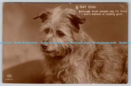 R756901 A Gay Dog E A Schwerdtfeger