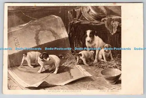 R761764 African Explorers Dogs S Hildesheimer John S Hayes