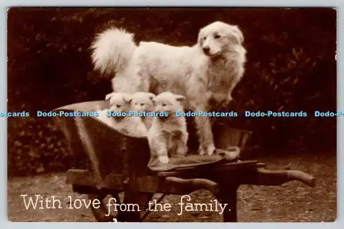 R762919 With Love From the Family Dogs W F Mack London