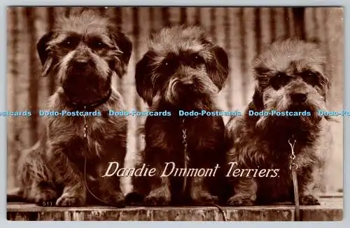 R762924 Dandie Dinmont Terrier Hunde The Windsor Serie RP PM Enfield Middx 1935