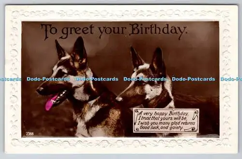 R762928 To Greet Your Birthday Two Dogs RP PM Bristol