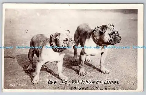 R762933 Ab zur Parkhurst Lodge, um Sylvia Dogs Triumphot Photo Series zu sehen