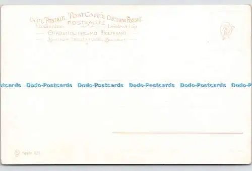 R762938 Brauner Hund Postkarte