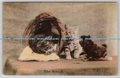 R761824 The Attack Cats Martin J Ridley