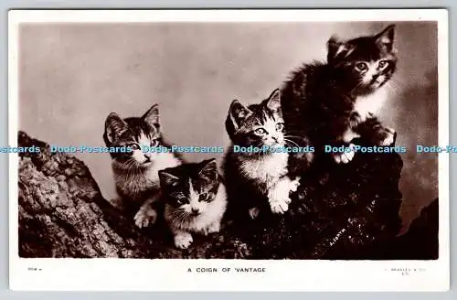 R760403 A Coign of Vintage Cats J Beagles London