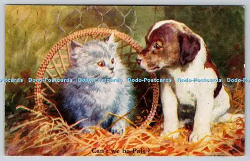 R760481 Can t We Be Pals Cat and Dog J Salmon 1955