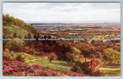 R760503 Blick vom Leith Hill S E J Salmon Sevenoaks A R Quinton