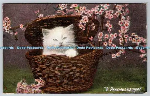 R760624 A Precious Hamper Cat J W B London Commercial Series No 302