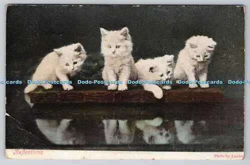 R760682 Reflections Cats Valentine Series Landor PM Chesterfield 1905