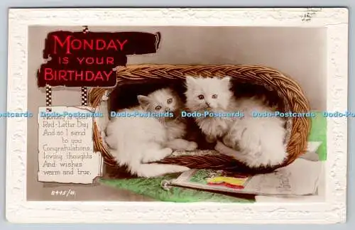 R760683 Monday is Your Birthday weiße Katzen Kunst Foto RP