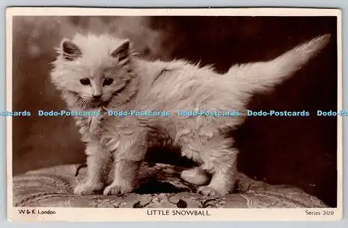 R760686 Little Snowball Cat W and K London Series 309 RP