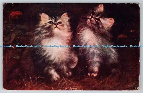 R760688 The Twins Cats J Salmon Sevenoaks England