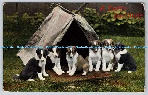 R760752 Camping Out Dogs W and K London 1908