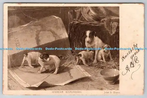 R760754 African Explorers Dogs S Hildesheimer John S Hayes PM Bath 1903