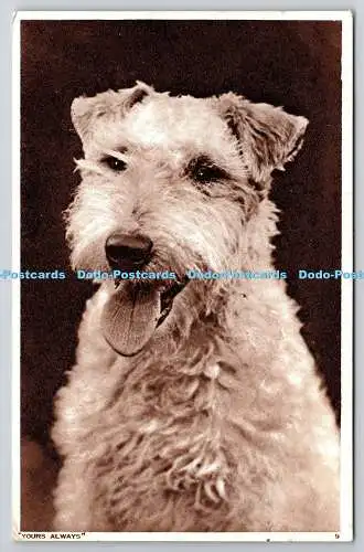 R757521 Yours Always Dog Photochrom Co Ltd 1944