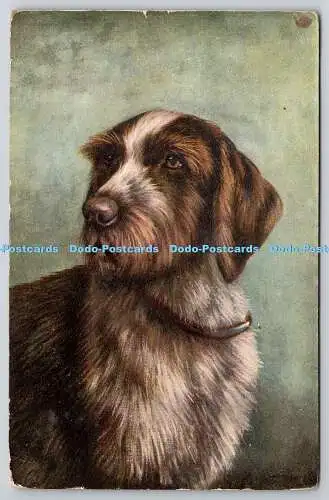 R757526 Hundepostkarte