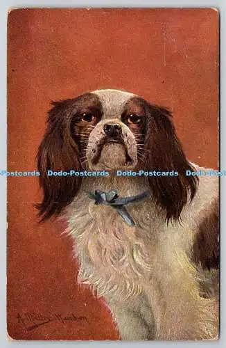 R757588 Dog S Hildesheimer and Co Ltd