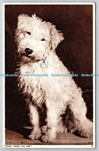 R757659 Ready When You Are Dog Photochrom Co Ltd 1944