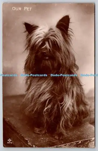 R757660 Unser Haustier Hund RP Postkarte 1922