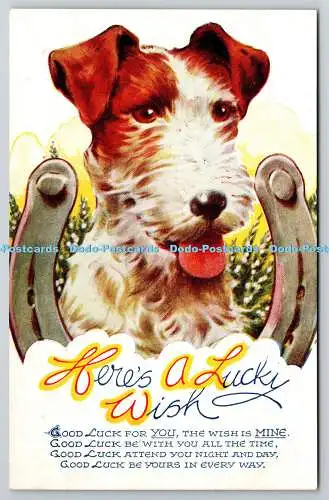 R757677 Hier ein Lucky Wish Dog Bamforth and Co Ltd Best of Luck Serie Nr 147