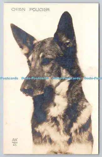 R757678 Chien Policier Dog A Noyer