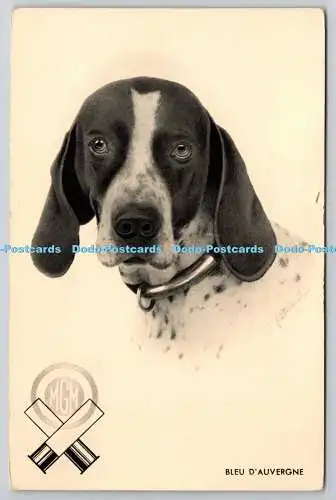 R757679 Bleu d Auvergne Hund Postkarte