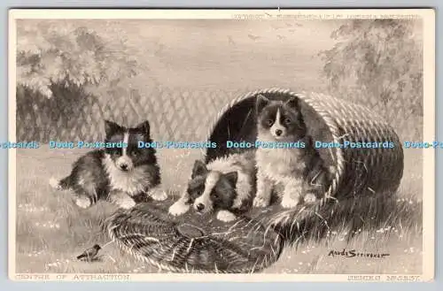 R758097 Centre of Attraction Three Dogs S Hildesheimer and Co Ltd Series No 5237