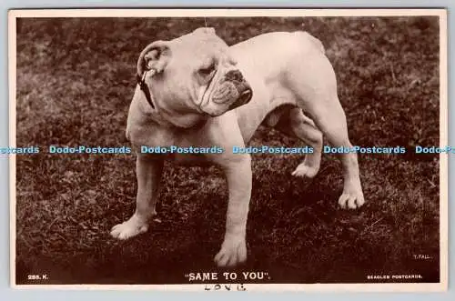 R758100 Same to You Dog Bulldog J Beagles and Co Ltd RP