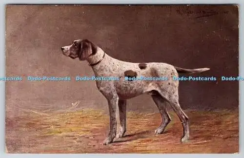 R758201 Hundeserie 425 Postkarte