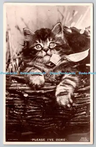 R758451 Please I ve Come Cat J Beagles and Co Ltd RP