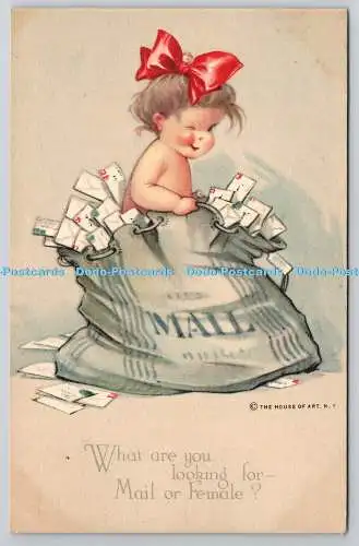 R758459 What are You Looking for Mail of Female House of Art Series No 926