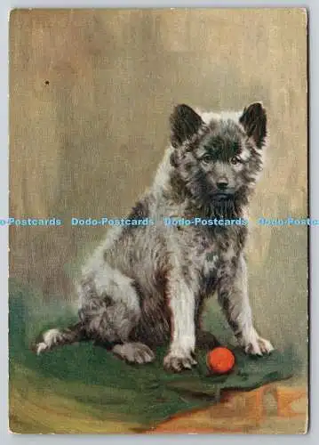 R759095 The Keeshond Godfrey Phillips Associated Brands De Reszke No 14