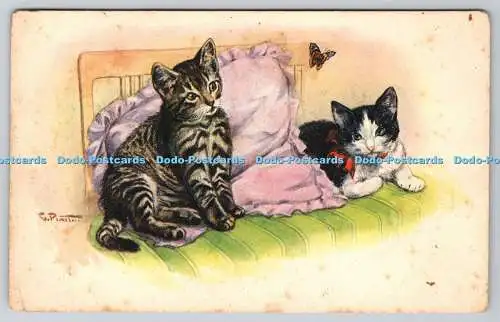 R759515 Zwei Katzen im Bett Cecami